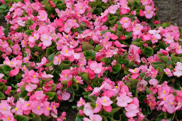 Comprendre et appliquer la méthode de calcul de la surface d'une maison